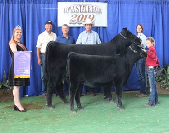 Grand Champion Cow-calf Pair