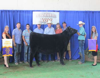 Grand Champion Female