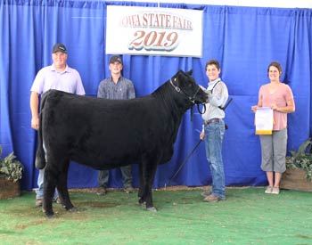 Reserve Intermediate Champion Heifer
