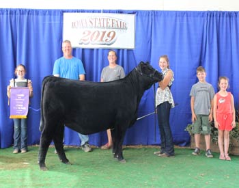 Senior Heifer Calf Champion