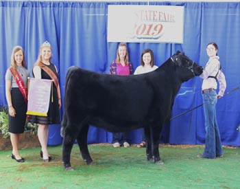 Intermediate Champion Heifer