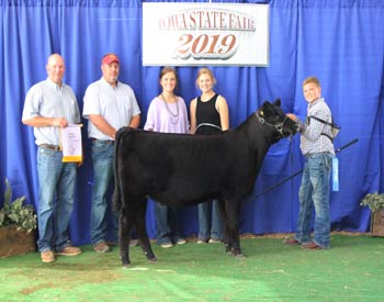 Reserve Senior Heifer Calf Champion