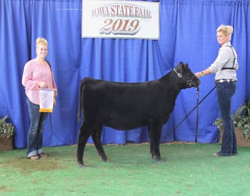 Reserve Junior Heifer Calf Champion