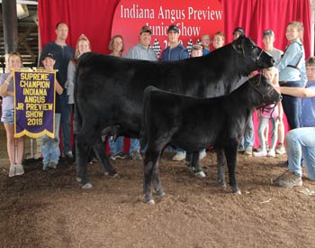 Grand Champion Cow-calf Pair