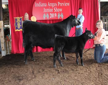 Reserve Grand Champion Cow-calf Pair