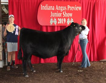 Owned Reserve Early Junior Champion Heifer