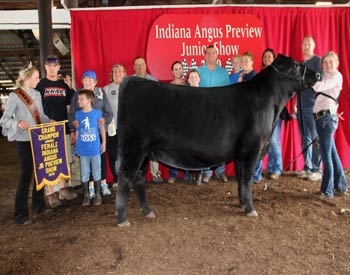 Grand Champion Owned Female