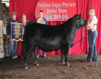 Grand Champion Steer