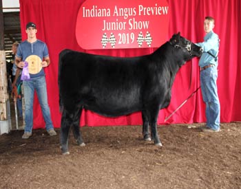 Owned Late Junior Champion Heifer