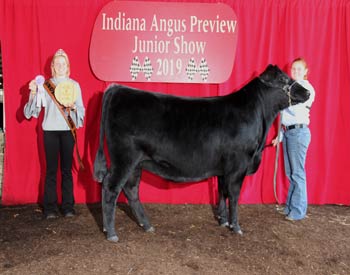 Bred-and-owned Reserve Junior Champion Heifer