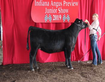 Owned Reserve Senior Heifer Calf Champion