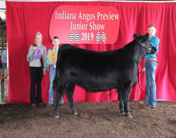 Bred-and-owned Intermediate Champion Heifer