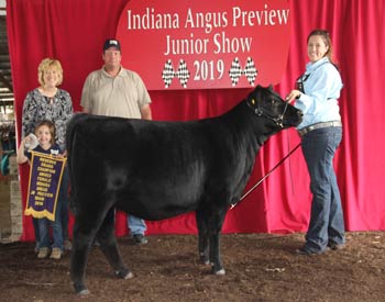 Reserve Grand Champion Owned Female
