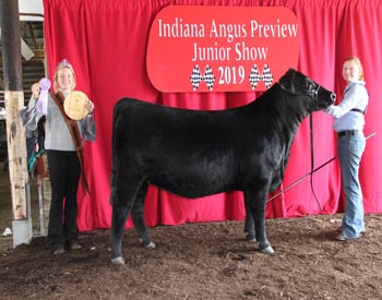 Owned Reserve Intermediate Champion Heifer