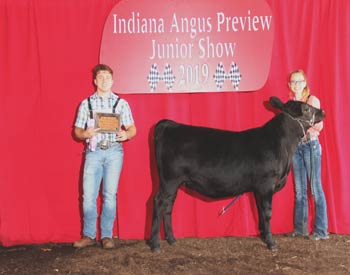 Bred-and-owned Reserve Junior Heifer Calf Champion
