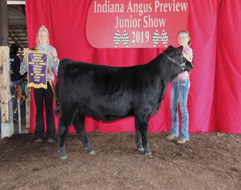 Reserve Grand Champion Bred-and-owned Female