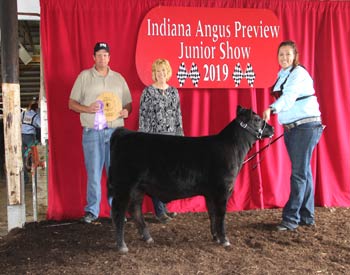 Bred-and-owned Junior Heifer Calf Champion