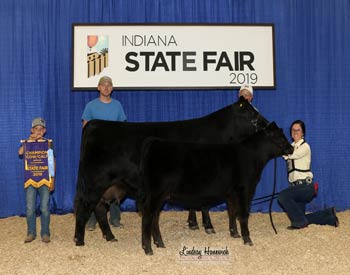 Grand Champion Cow-calf Pair
