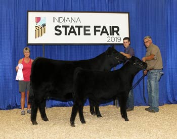 Reserve Grand Champion Cow-calf Pair