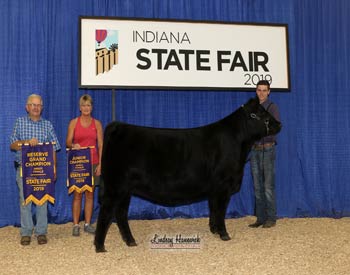 Reserve Grand Champion Female