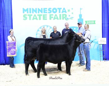 Grand Champion Cow-calf Pair