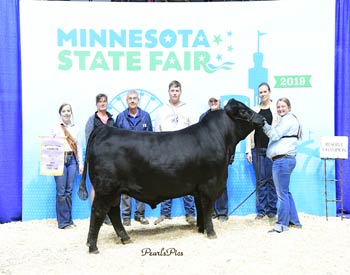 Reserve Grand Champion Bull