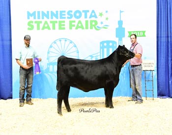 Intermediate Champion Heifer