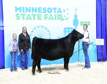 Reserve Junior Champion Heifer