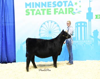 Senior Heifer Calf Champion
