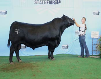 Reserve Senior Champion Bull