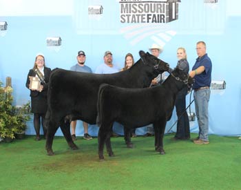 Grand Champion Cow-calf Pair