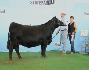 Reserve Senior Champion Female