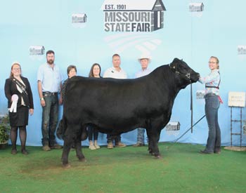 Reserve Grand Champion Bull