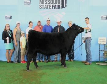 Junior Champion Heifer