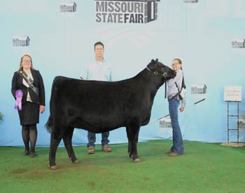 Intermediate Champion Heifer