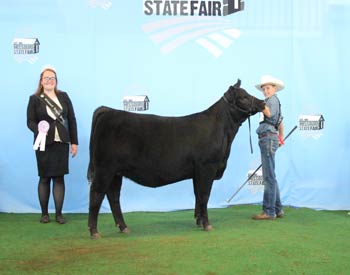 Reserve Senior Heifer Calf Champion