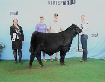 Reserve Junior Bull Calf Champion