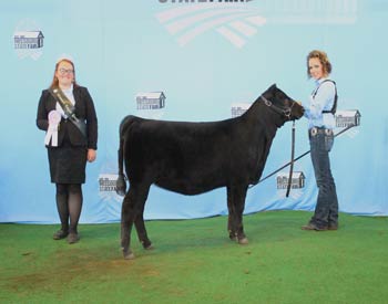 Reserve Junior Heifer Calf Champion