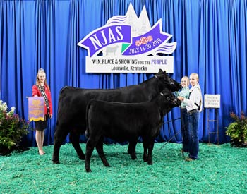 Bred-and-owned Reserve Champion Mature Cow-calf Pair