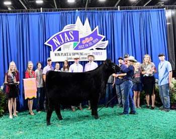 5th Overall Champion Owned Female