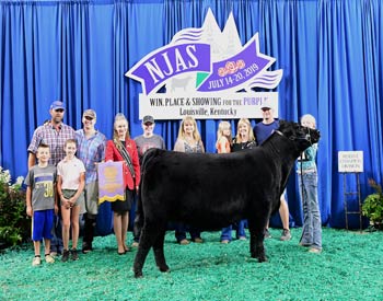 Reserve Late Senior Heifer Champion