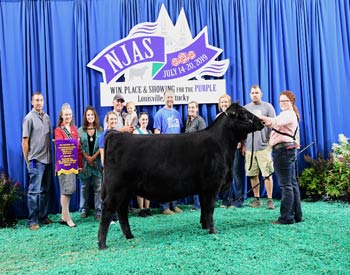 Owned Intermediate Champion--Division 3