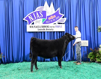 Owned Reserve Junior Champion--Division 7