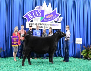 Owned Intermediate Champion--Division 2