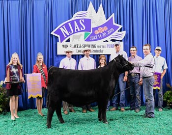 Reserve Grand Champion Owned Female