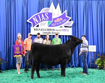 Owned Junior Champion Heifer--division 2