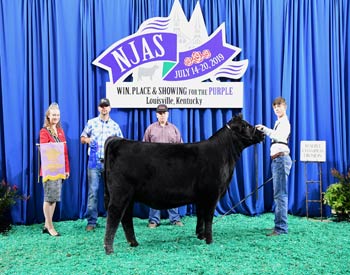 Owned Reserve Intermediate Champion--Division 1