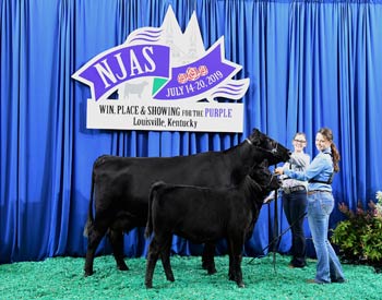 Owned Cow-calf Class 7