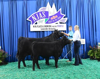 Owned Cow-calf Class 5