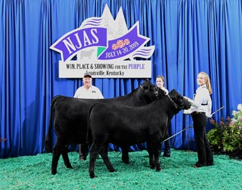 Owned Cow-calf Class 4